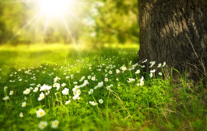 spring-276014_960_720