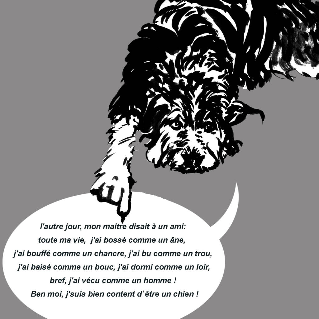 L’attribut alt de cette image est vide, son nom de fichier est une-vie-de-chien-1024x1024.jpg.