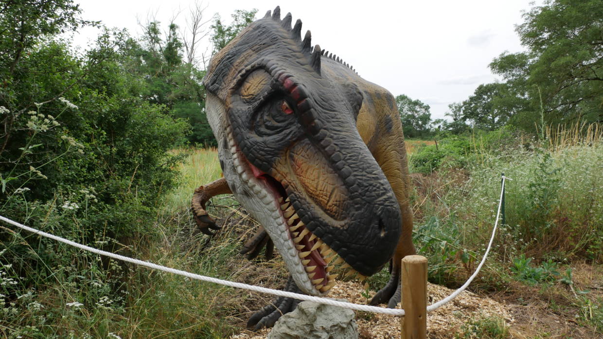 Dashanpu, Parc de dinosaures, ouvre du 17 juin au 10 septembre 2023